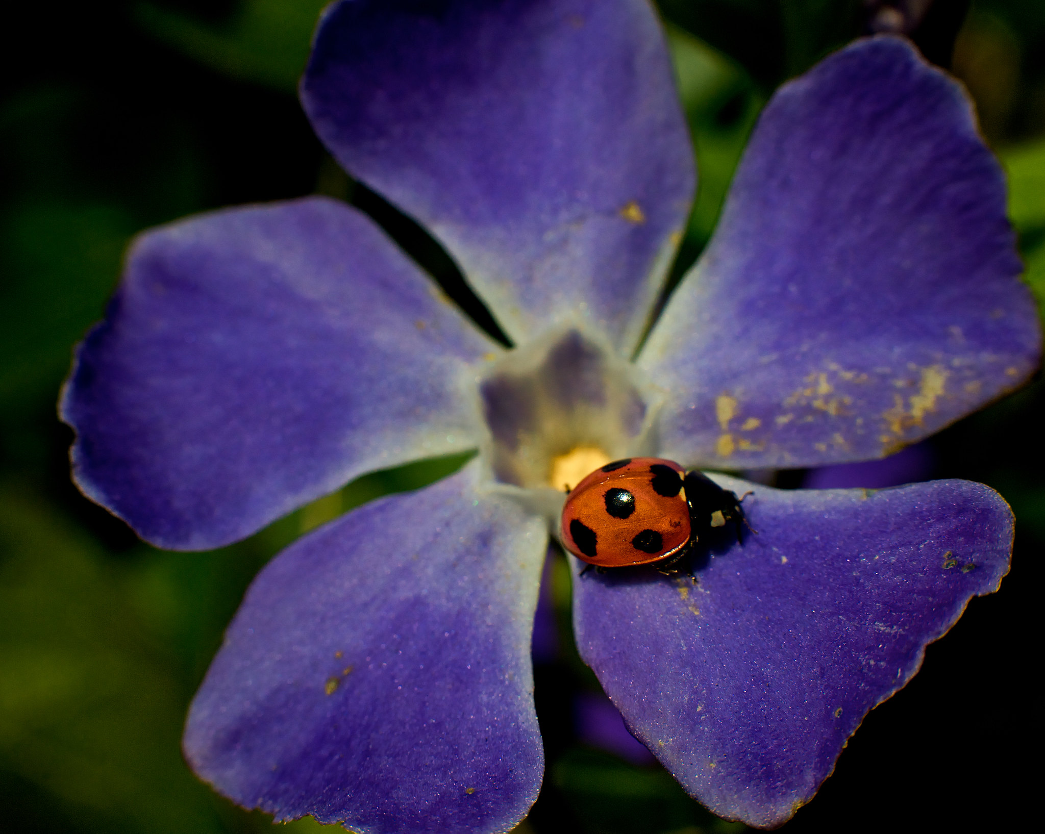 Things Photography by John Hoare