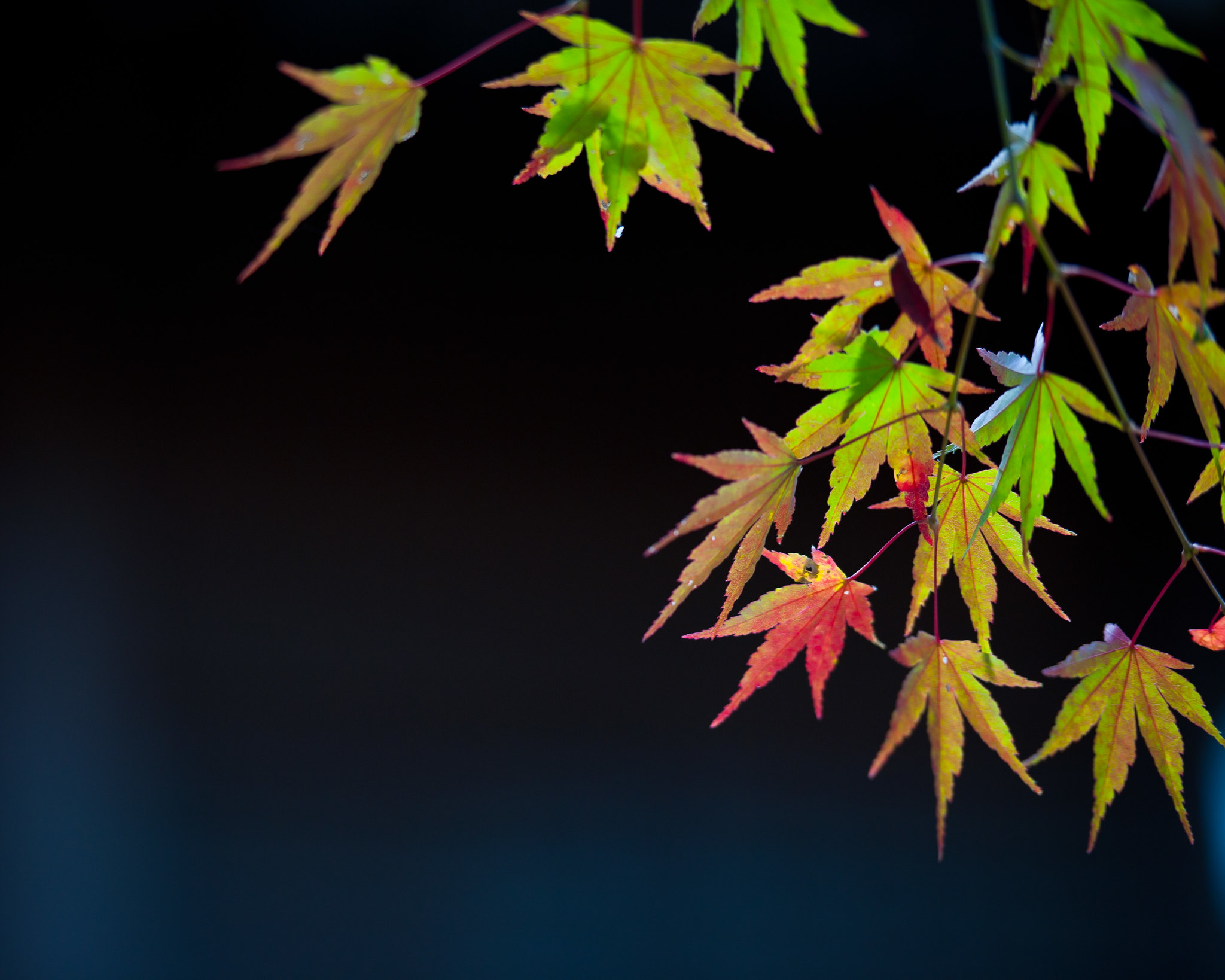 Things Photography by John Hoare