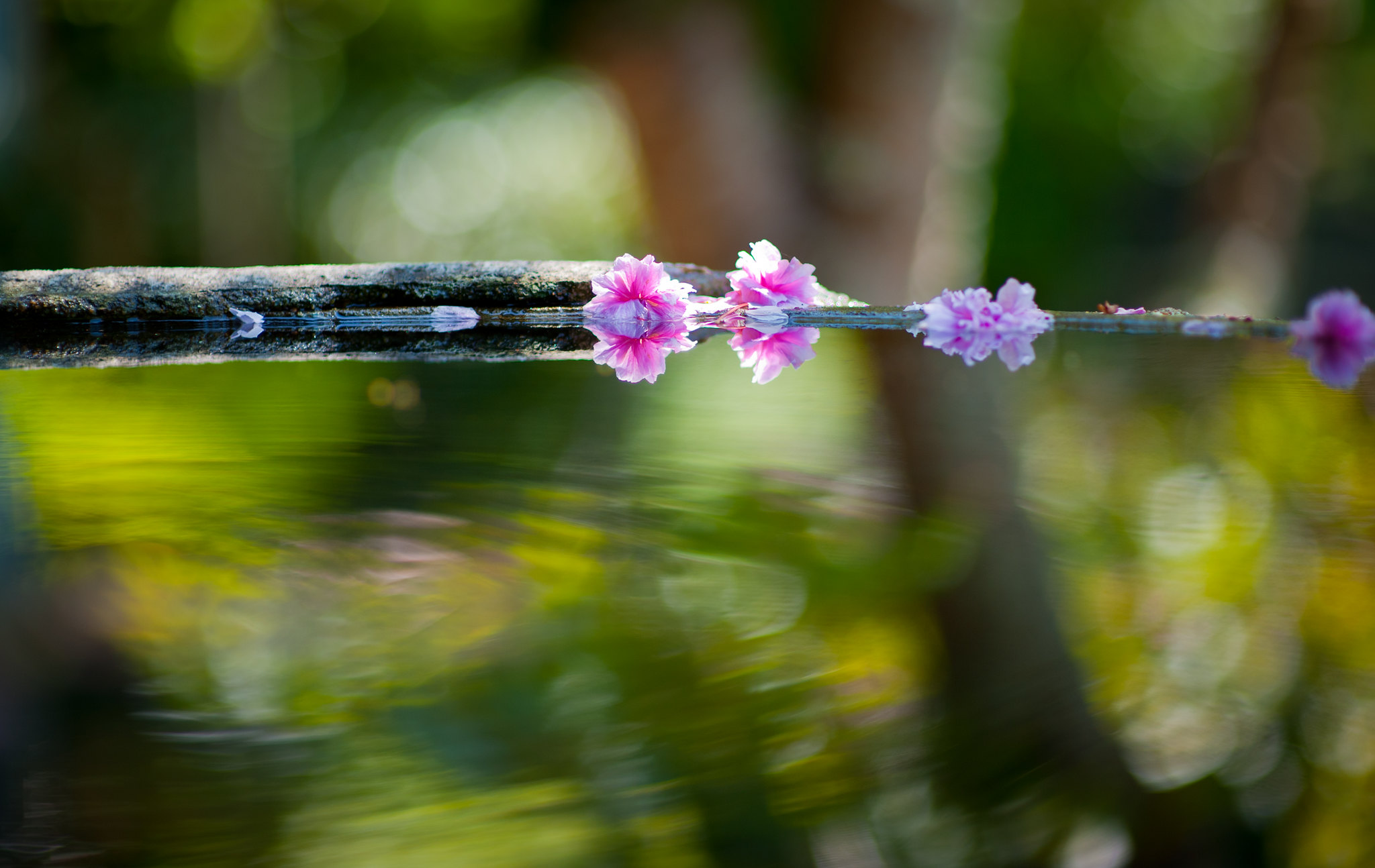 Things Photography by John Hoare